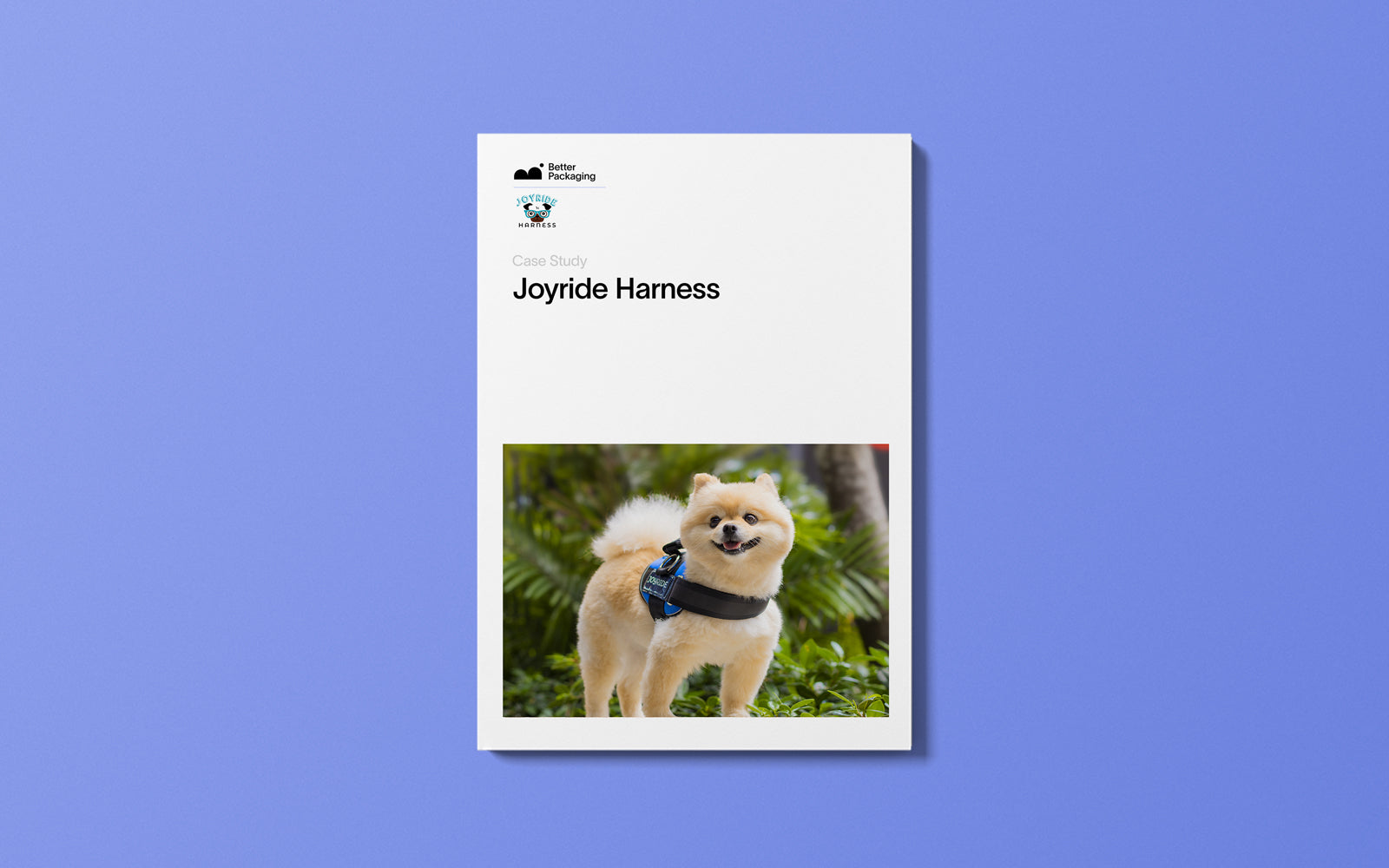 Leading the pack! How Joyride Harness made the switch to eco friendly Packaging